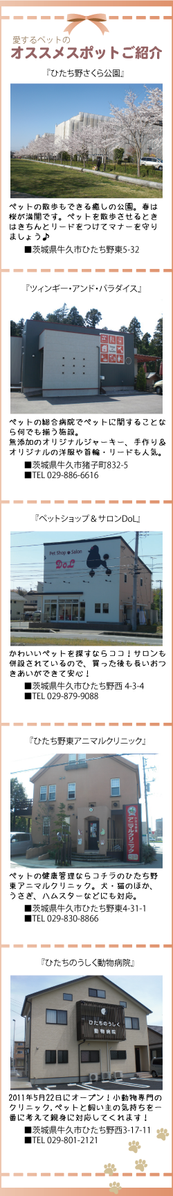愛するペットのオススメスポット